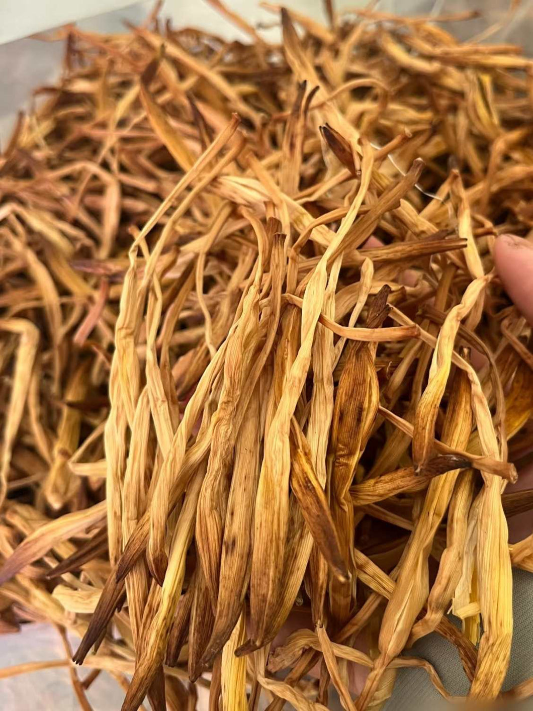 金針菜