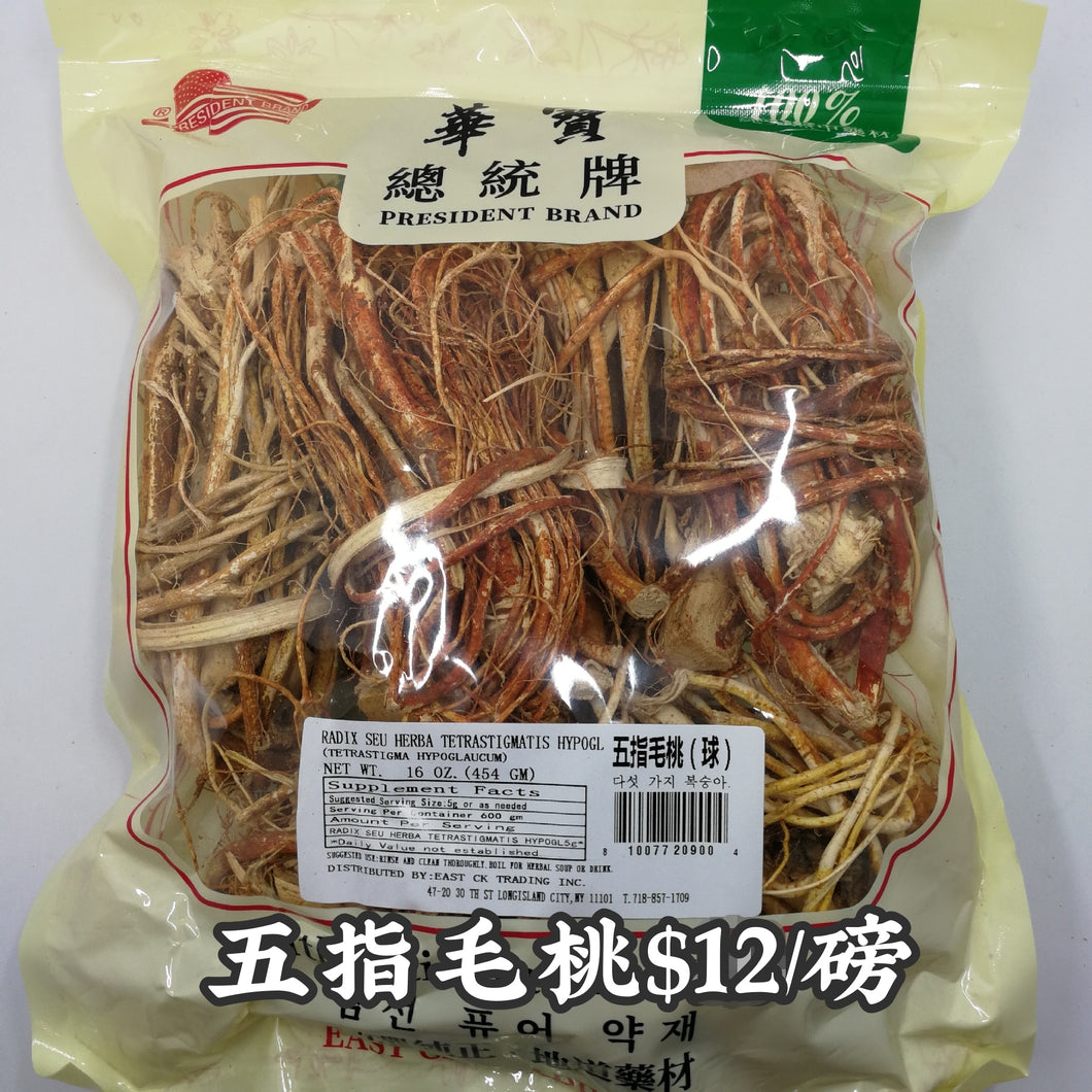 五指毛桃